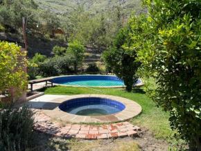 El bosque huajchilla